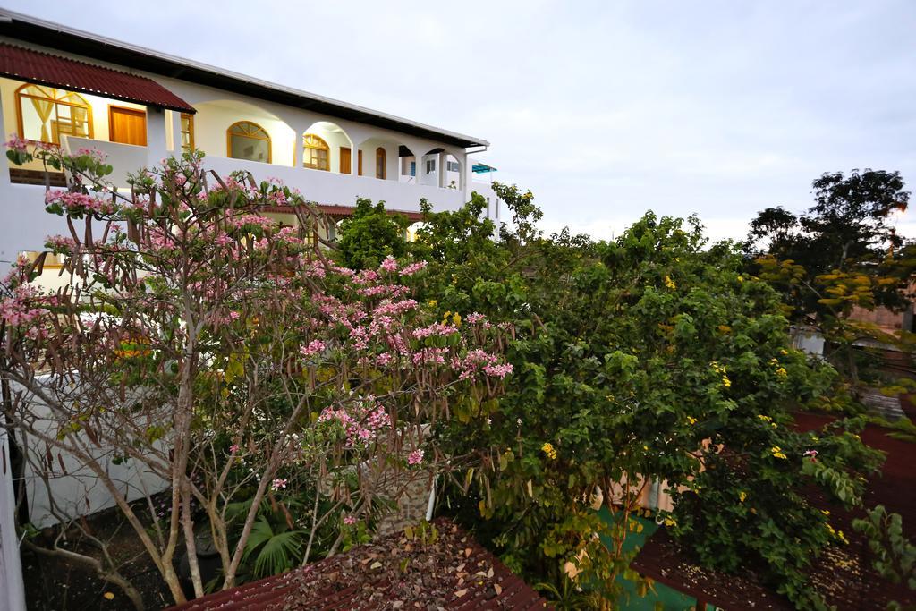 The Galapagos Pearl B&B Puerto Ayora  Exterior foto